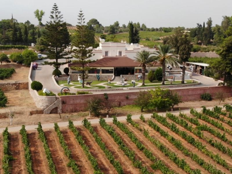 Lagoa Quinta dos Vales Wine Estate