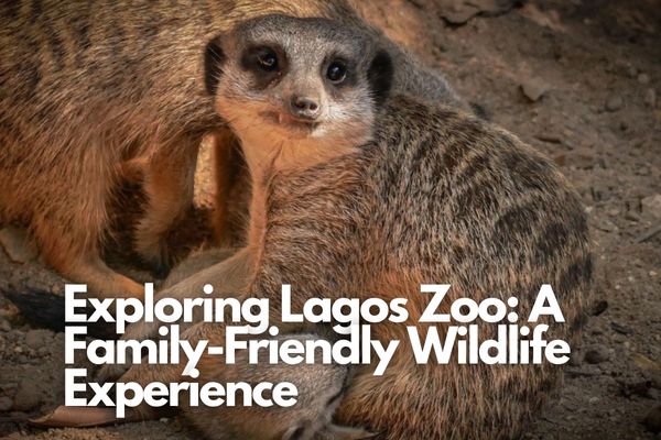 Lagos Zoo: A Family-Friendly Wildlife