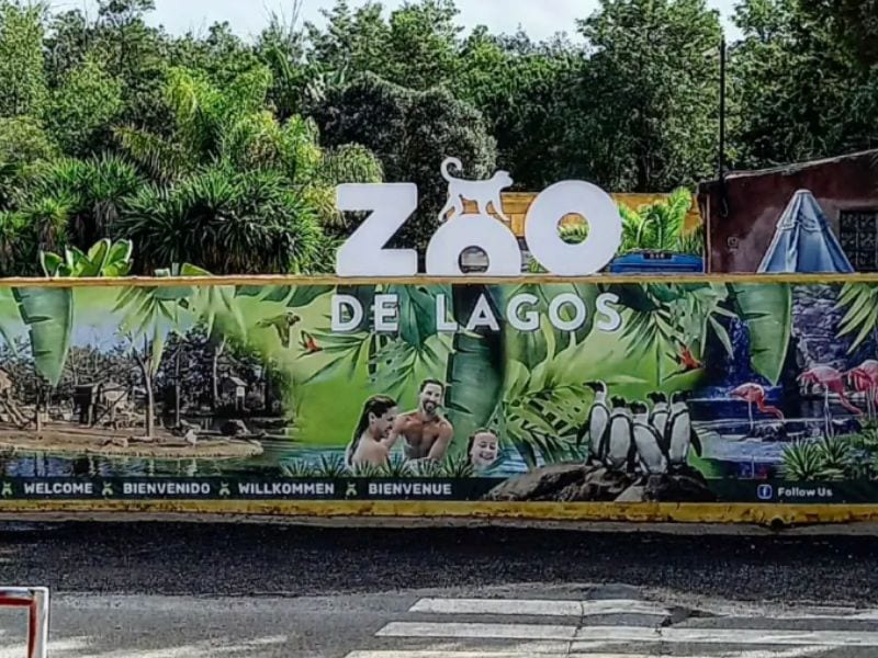  Lagos Zoo Algarve wildlife